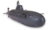 AKULA K-317
