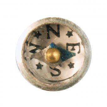 Compass with rose and needle, dia. 8mm 