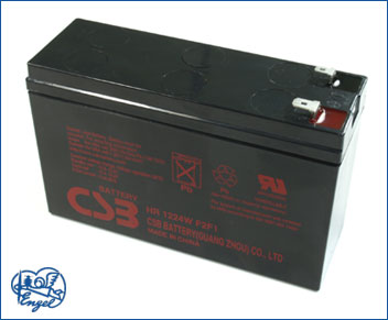 Lead Acid Battery PANASONIC 12V/192W "high power" 