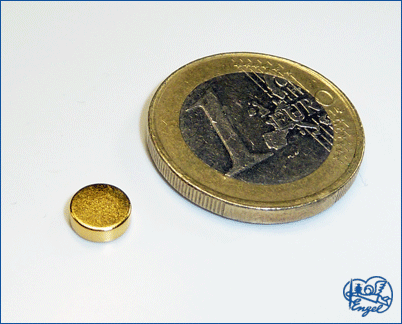 Power Magnet Scheibe 6x2 mm, 2 Stk. 